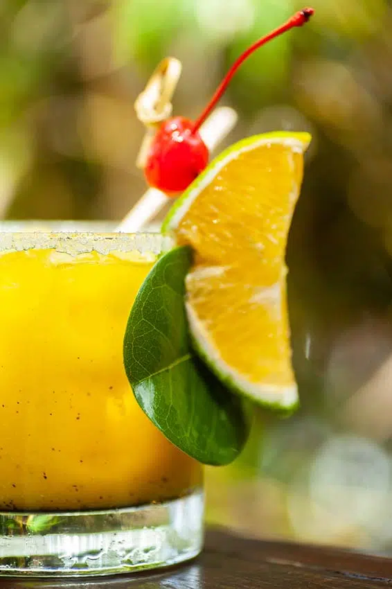 Menu Photography by Pacific Photography Costa Rica