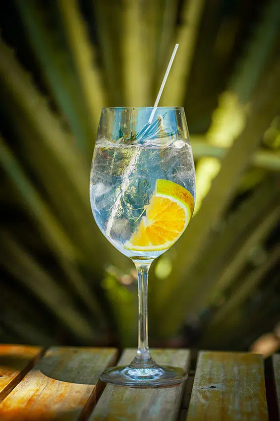 Food and Menu Photography, Pacific Photography Costa Rica