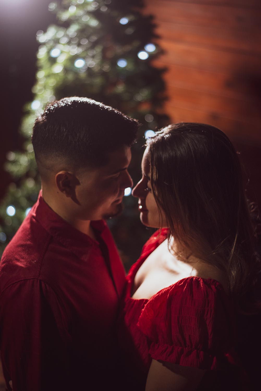 Christmas Specials - Christmas Photography by Pacific Photography