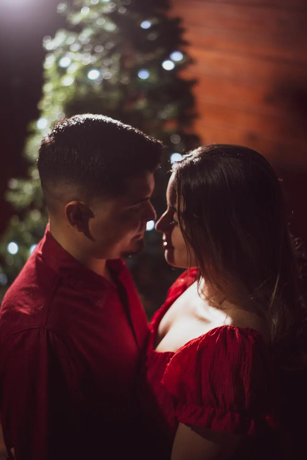 Christmas Specials - Christmas Photography by Pacific Photography