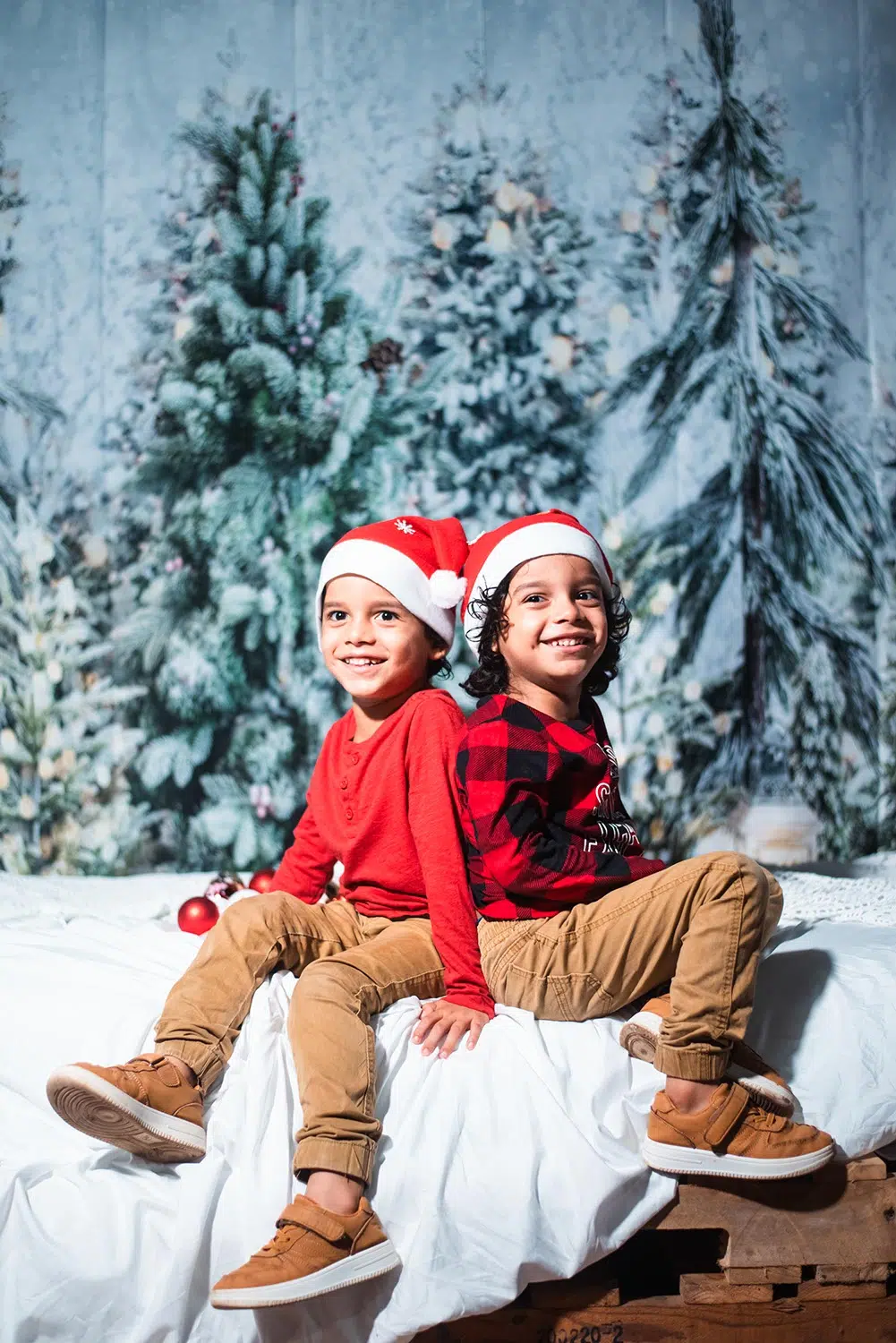 Christmas Specials - Christmas Photography by Pacific Photography