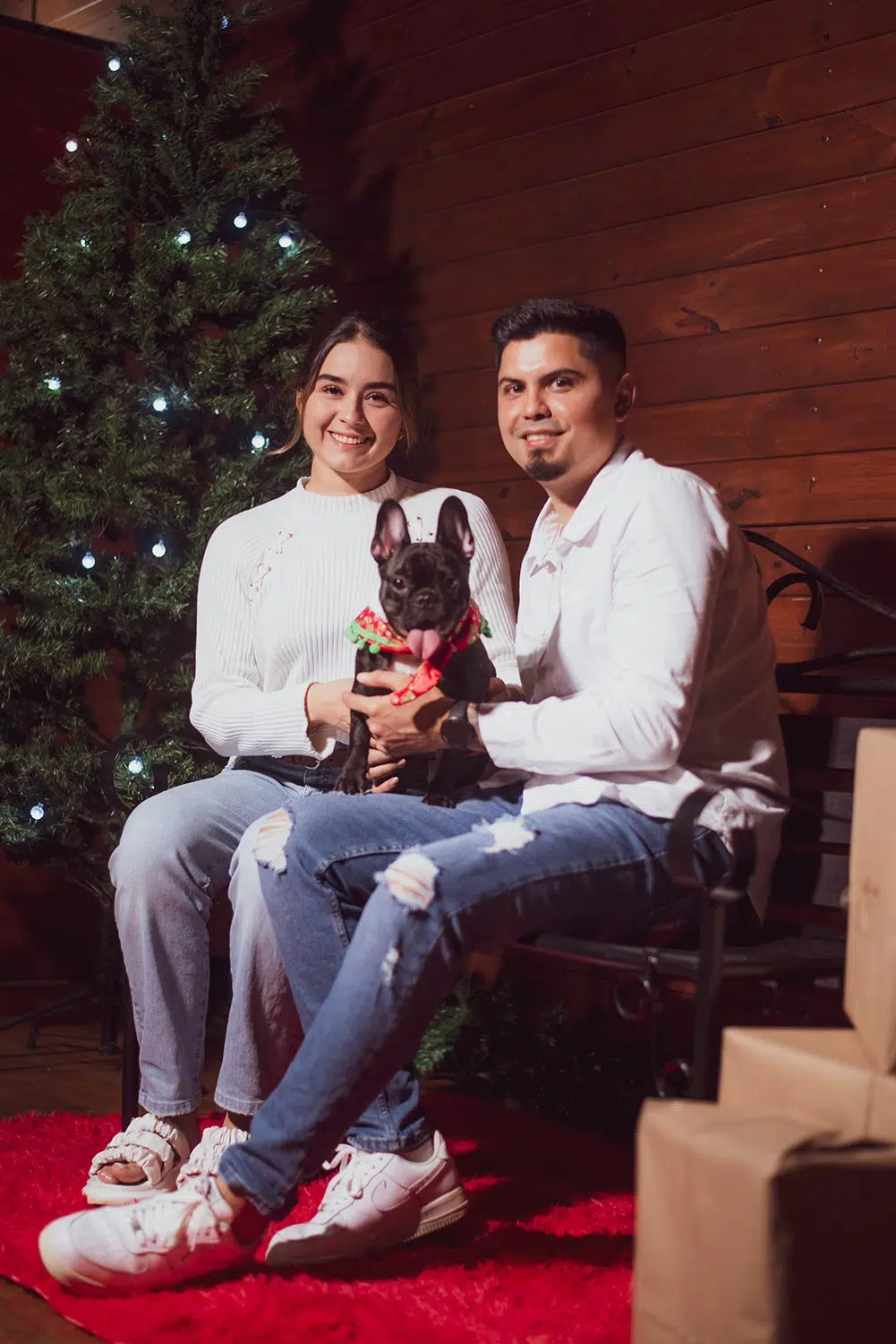 Christmas Specials - Christmas Photography by Pacific Photography