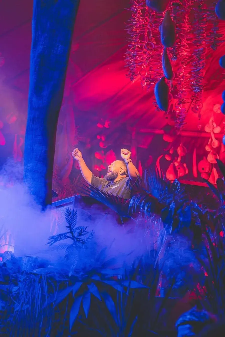 DJ or performer on a stage with arms raised amid pink and blue lights and fog, tropical plants in foreground.