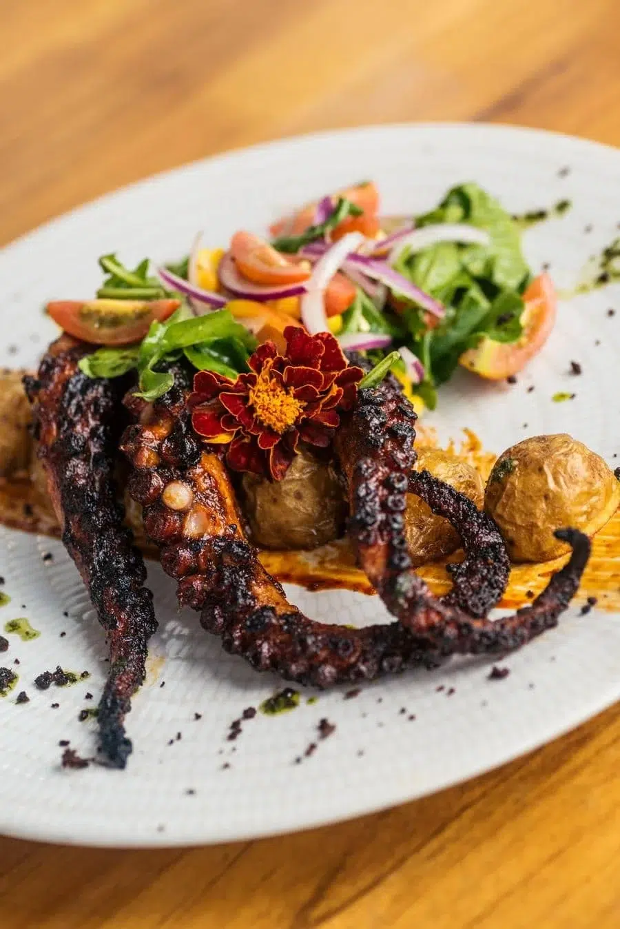 Charred octopus tentacle on a plate with roasted potatoes and a colorful salad, topped with a red edible flower garnish.