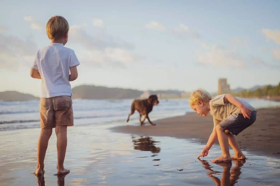 people and lifestyle photography -9 | Pacific Photography Two young boys on a sandy beach explore shallow tide pools as a dog walks in the distance by the shore.