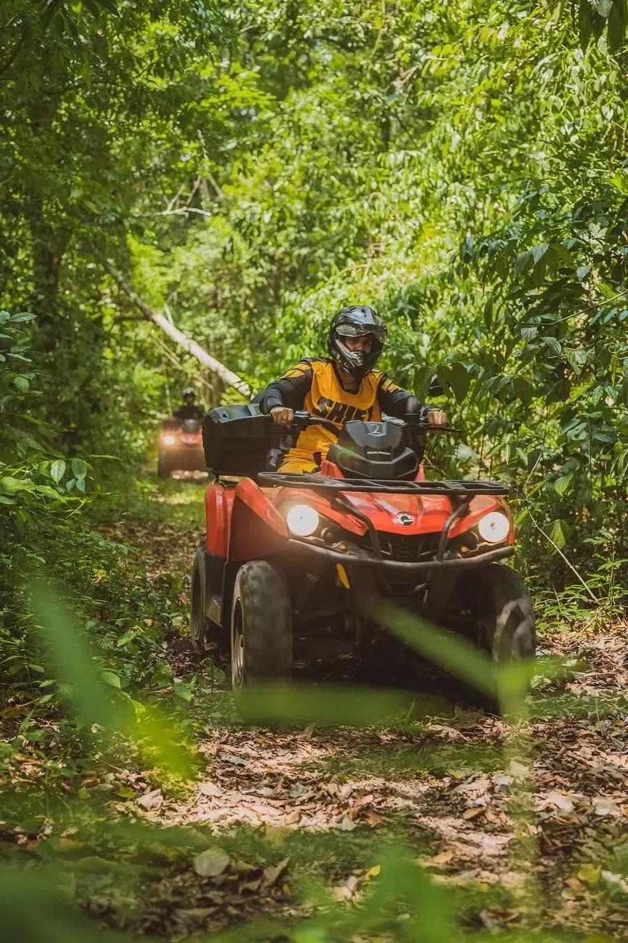 Person in orange gear and a helmet rides a red ATV through a dense green forest; another rider on an ATV is visible in the background.