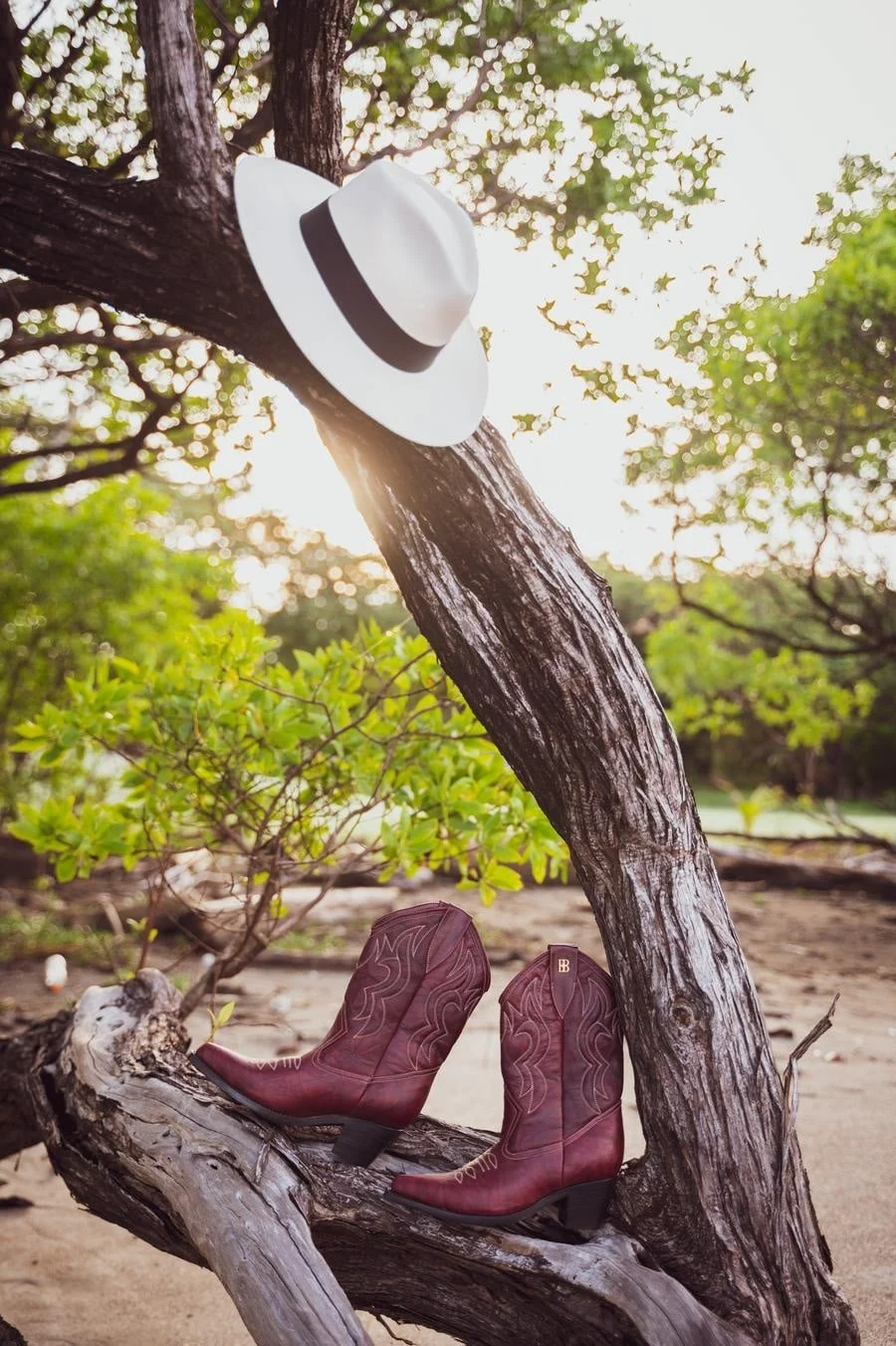 wedding prep photography costa rica-16 | Pacific Photography White hat with a black band hangs on a tree branch above a pair of burgundy cowboy boots in a sunlit park.