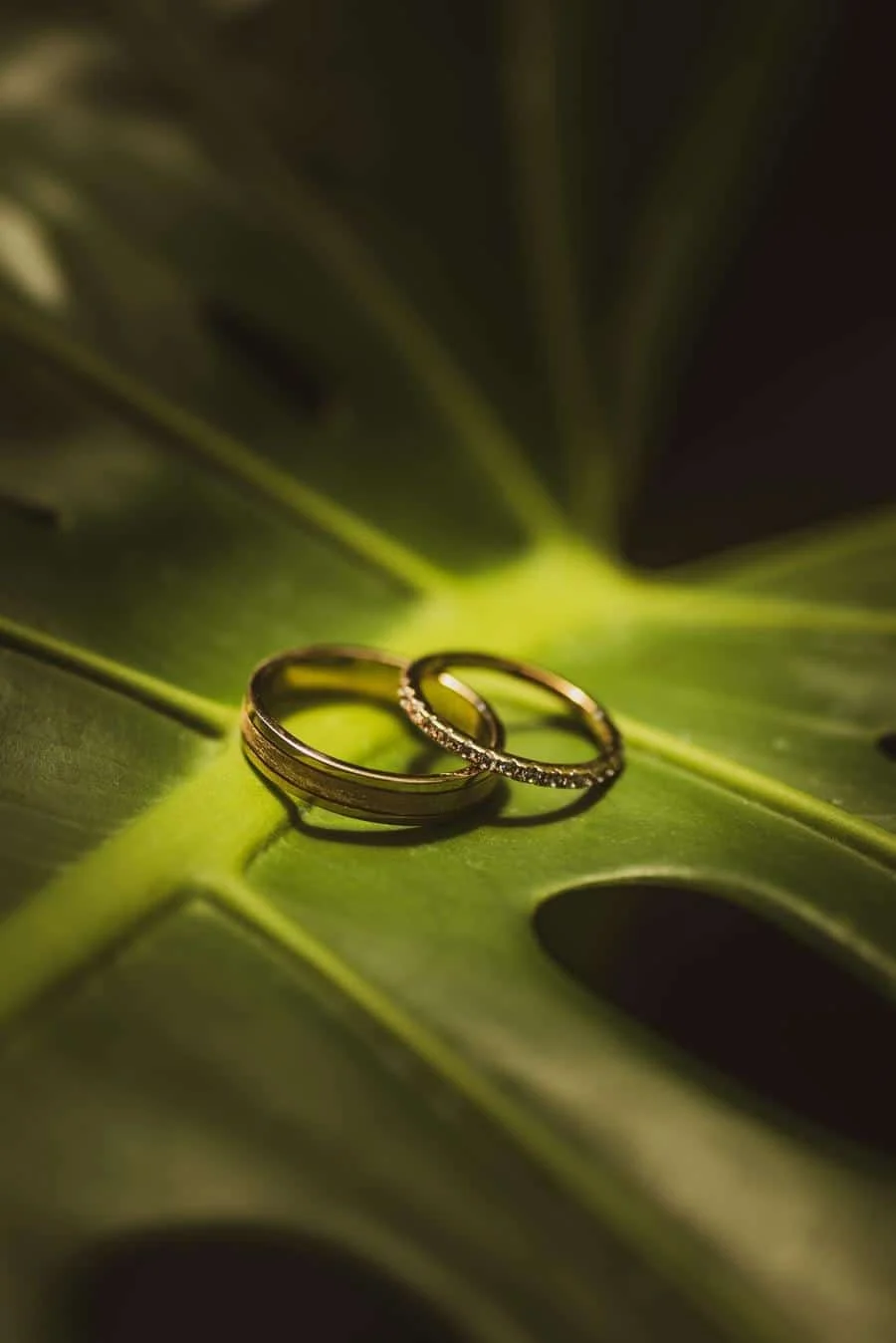 wedding prep photography costa rica-8 | Pacific Photography Two rings sit on a large green leaf, one plain band and one diamond-studded band catching light.